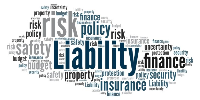 Understanding Business Liability Insurance Understanding Business Liability Insurance