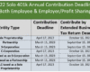solo 401k contribution limits and types