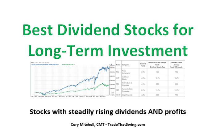 Best Dividend Stocks for Long-Term Investment - Trade That Swing Best Dividend Stocks for Long-Term Investment - Trade That Swing