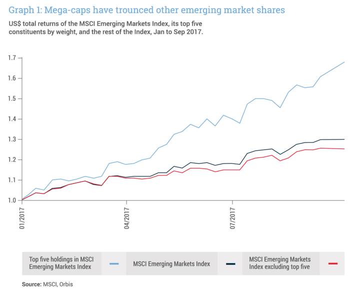 Allan Gray | Emerging market equities: looking beyond the mega-caps Allan Gray | Emerging market equities: looking beyond the mega-caps