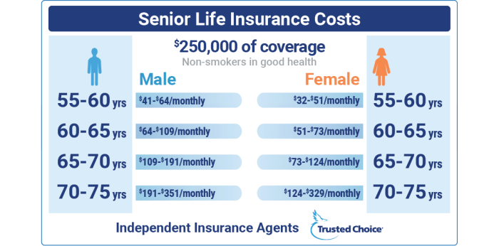 Best Life Insurance for Seniors in 2025 | Trusted Choice Best Life Insurance for Seniors in 2025 | Trusted Choice