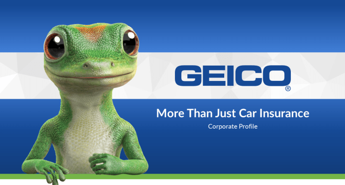 Insurance Commercials Geico